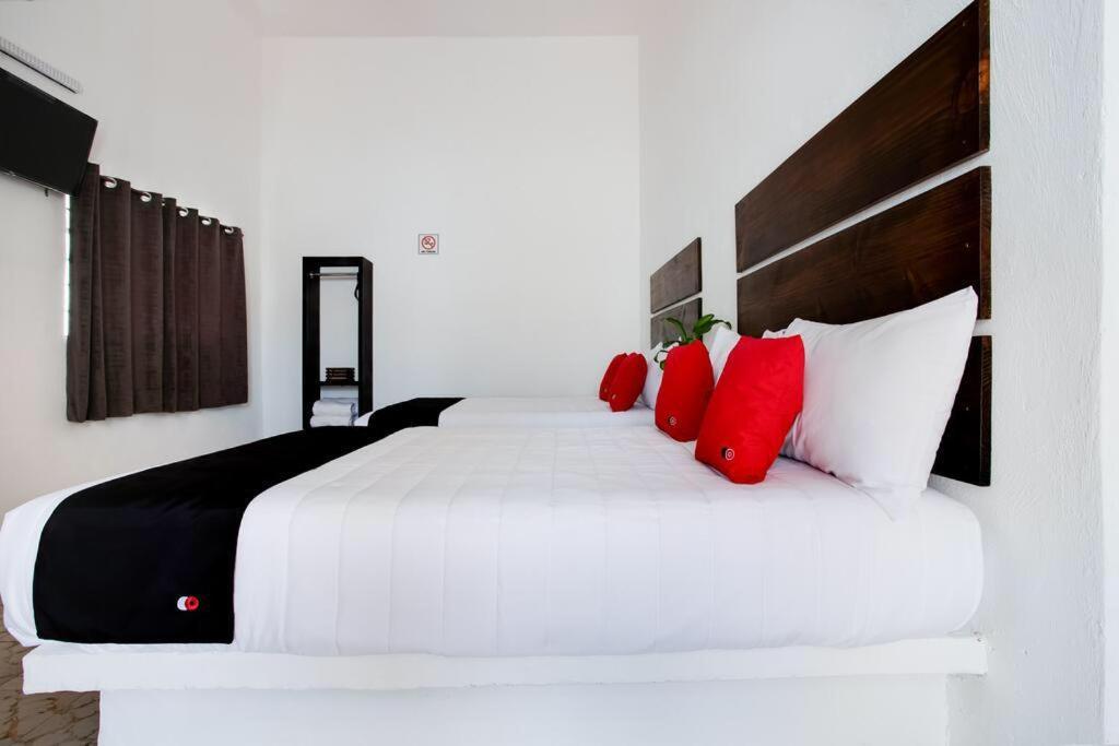 Hotel Posada Maria Isabel أتليكسكو المظهر الخارجي الصورة